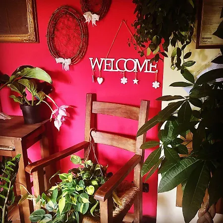 Raffiori Bed and breakfast